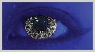 Saf Black Halloween Contact Lenses - Image 2