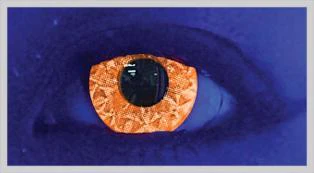 Zaa Orange Halloween Contact Lenses - Image 2